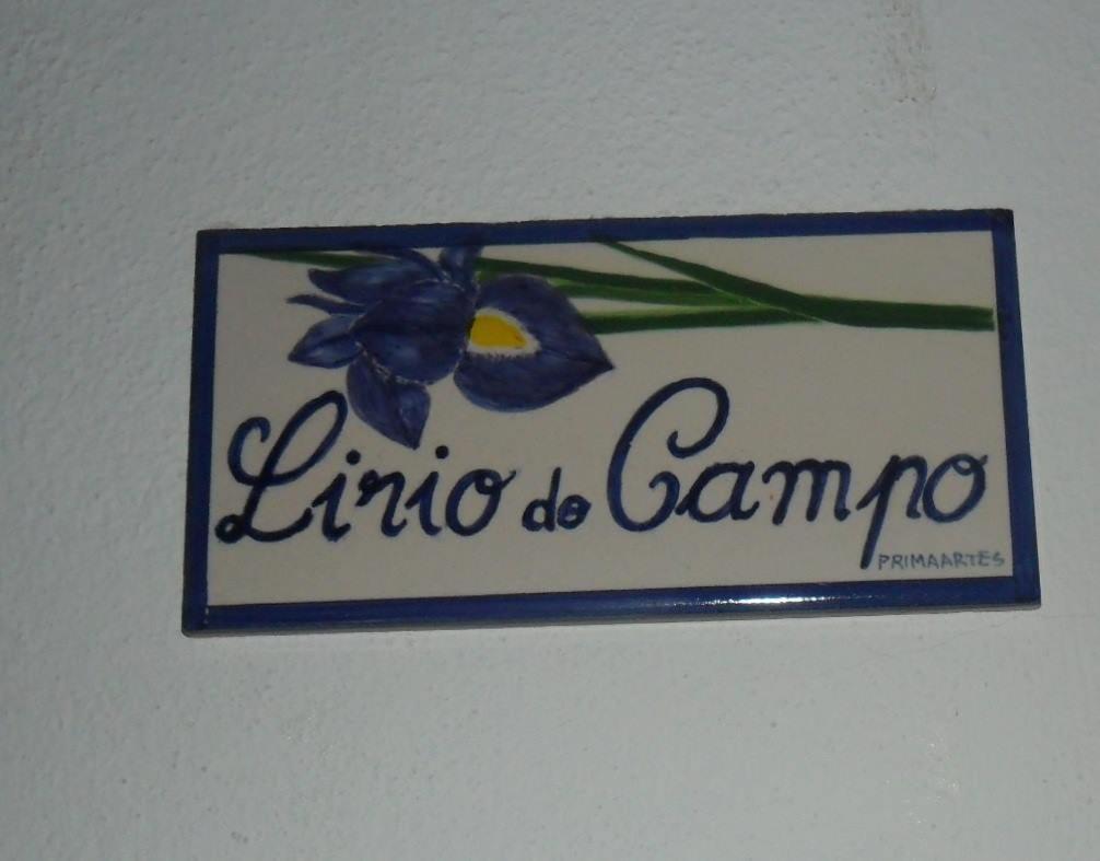 Apartamentos Bau-Doce Cercal do Alentejo Buitenkant foto