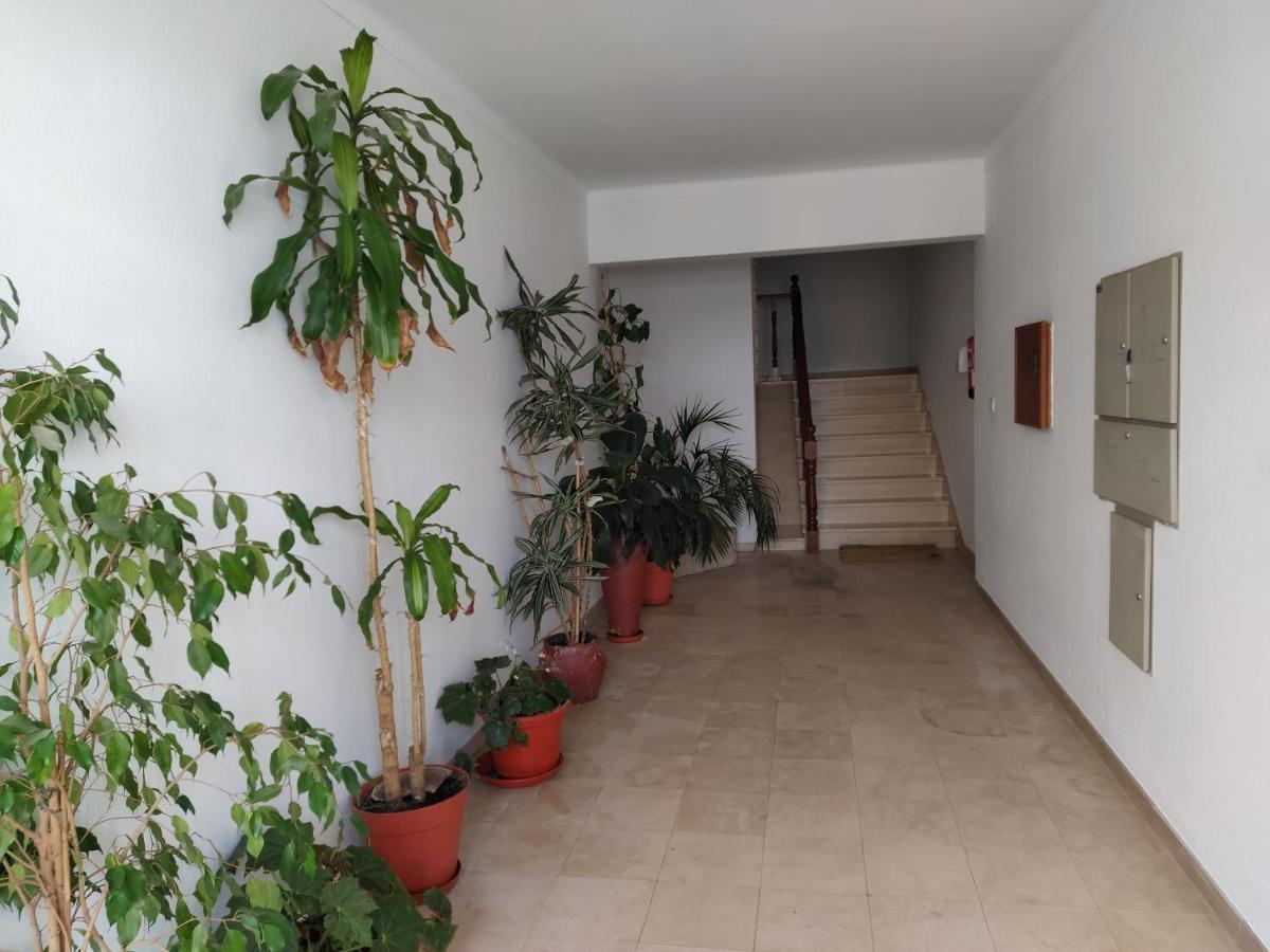 Apartamentos Bau-Doce Cercal do Alentejo Buitenkant foto